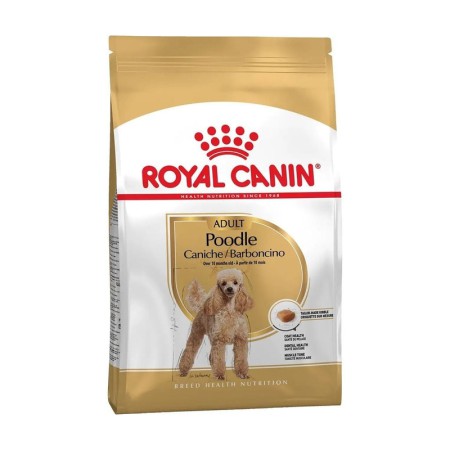 Royal Canin Poodle Adult 1.5 кг сухий корм для собак породи Пудель