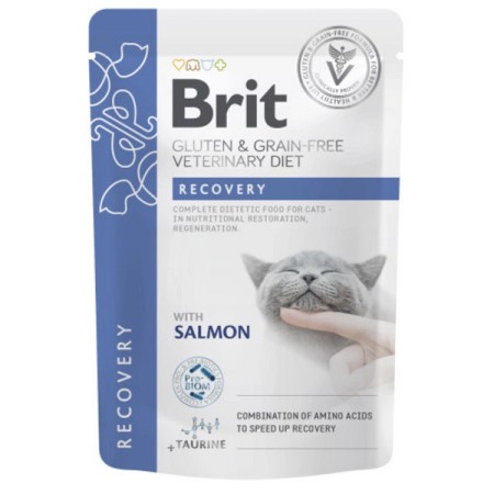 Brit Veterinary Diet Recovery Salmon 85 г вологий корм для котів у період відновлення після операцій