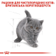 Royal Canin British Shorthair Kitten для котят 4 кг