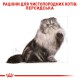 Royal Canin Persian Adult для кошек 4 кг