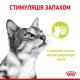 Royal Canin Sensory Smell in Gravy в соусе для кошек 12х85 г