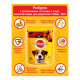 Pedigree Сhicken in sauce пауч для собак с говядиной и ягненком в соусе 24*100 г