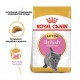 Royal Canin British Shorthair Kitten для котят 4 кг