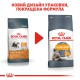 Royal Canin Hair and Skin Care для кошек 4 кг