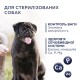 Клуб 4 Лапи Premium Light для стерилізованих собак малих порід з індичкою 5 кг