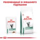 Royal Canin Diabetic Pouches для кошек при диабете в соусе 12х85 г