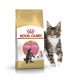 Royal Canin Maine Coon Kitten для котят 400 г