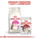 Royal Canin Protein Exigent для котів 2 кг