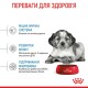 Royal Canin Medium Puppy цуценят середніх порід 1 кг