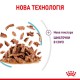 Royal Canin Sensory Feel in Gravy в соусі для котів 12х85 г