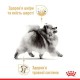 Royal Canin Pomeranian Loaf для собак 12х85 г