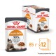 Royal Canin Hair & Skin Care in gravy в соусе для кошек 12х85 г