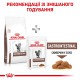 Royal Сanin Gastrointestinal для кошек  400 г