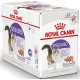 Royal Canin Sterilised Loaf в паштете для кошек 12х85 г