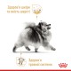 Royal Canin Pomeranian Adult для собак 1.5 кг