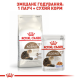 Royal Canin Ageing 12+ для кошек старше 12 лет 4 кг