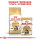 Royal Canin Maine Coon для кішок породи Мейн-кун 2 кг