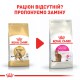 Royal Canin Bengal для котів 4 кг