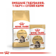 Royal Canin Maine Coon для котів 12х85 г