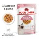 Royal Canin Kitten Instinctive Gravy для котят в соусе 12х85 г