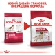 Royal Canin Medium Adult для собак средних размеров 15 кг