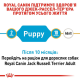 Royal Canin Jack Russell Terrier Puppy для цуценят 1.5 кг