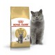 Royal Canin British Shorthair для кошек породы британская короткошерстная 10 кг