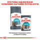 Royal Canin Urinary Care Gravy для котів шматочки в соусі 12x85 г