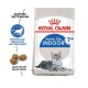 Royal Canin Indoor 7+ для котів старше 7 років 3.5 кг