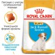 Royal Canin Jack Russell Terrier Puppy для щенков 1.5 кг