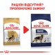 Royal Canin German Shepherd Adult для собак 11 кг