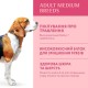 Optimeal Medium Dog для собак средних пород с индейкой 1.5 кг