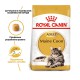 Royal Canin Maine Coon для кошек породы Мейн-кун 4 кг