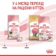 Royal Canin Mother and Babycat для котят 10 кг