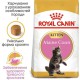 Royal Canin Maine Coon Kitten для кошенят 4 кг