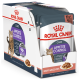 Royal Canin Appetite Control в соусе для кошек 12х85 г