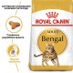 Royal Canin Bengal для кошек 4 кг