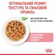 Royal Canin Kitten Instinctive Gravy для котят в соусе 12х85 г