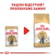 Royal Canin British Shorthair для кошек породы британская короткошерстная 12х85 г