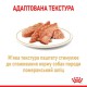 Royal Canin Pomeranian Loaf для собак 12х85 г