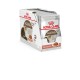 Royal Canin Ageing 12+ для кішок старше 12 років 12х85 г