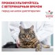 Royal Canin Gastrointestinal Kitten для кошенят 400 г