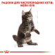 Royal Canin Maine Coon Kitten для кошенят 4 кг