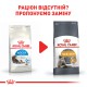 Royal Canin Indoor Long Hair для длинношерстных кошек 2 кг