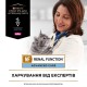 Purina Veterinary Diets NF Renal Function Feline в подливке с курицей для кошек 10х80 г