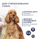 Клуб 4 Лапы Premium Light для собак средних и больших пород с индейкой 5 кг