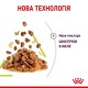 Royal Canin Sensory Smell in Jelly в желе для кошек 12х85 г