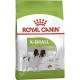 Royal Canin Xsmall Adult корм для собак 1.5 кг