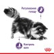 Royal Canin Appetite Control для стерилизованных кошек 2 кг