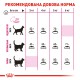 Royal Canin Protein Exigent для кошек 4 кг